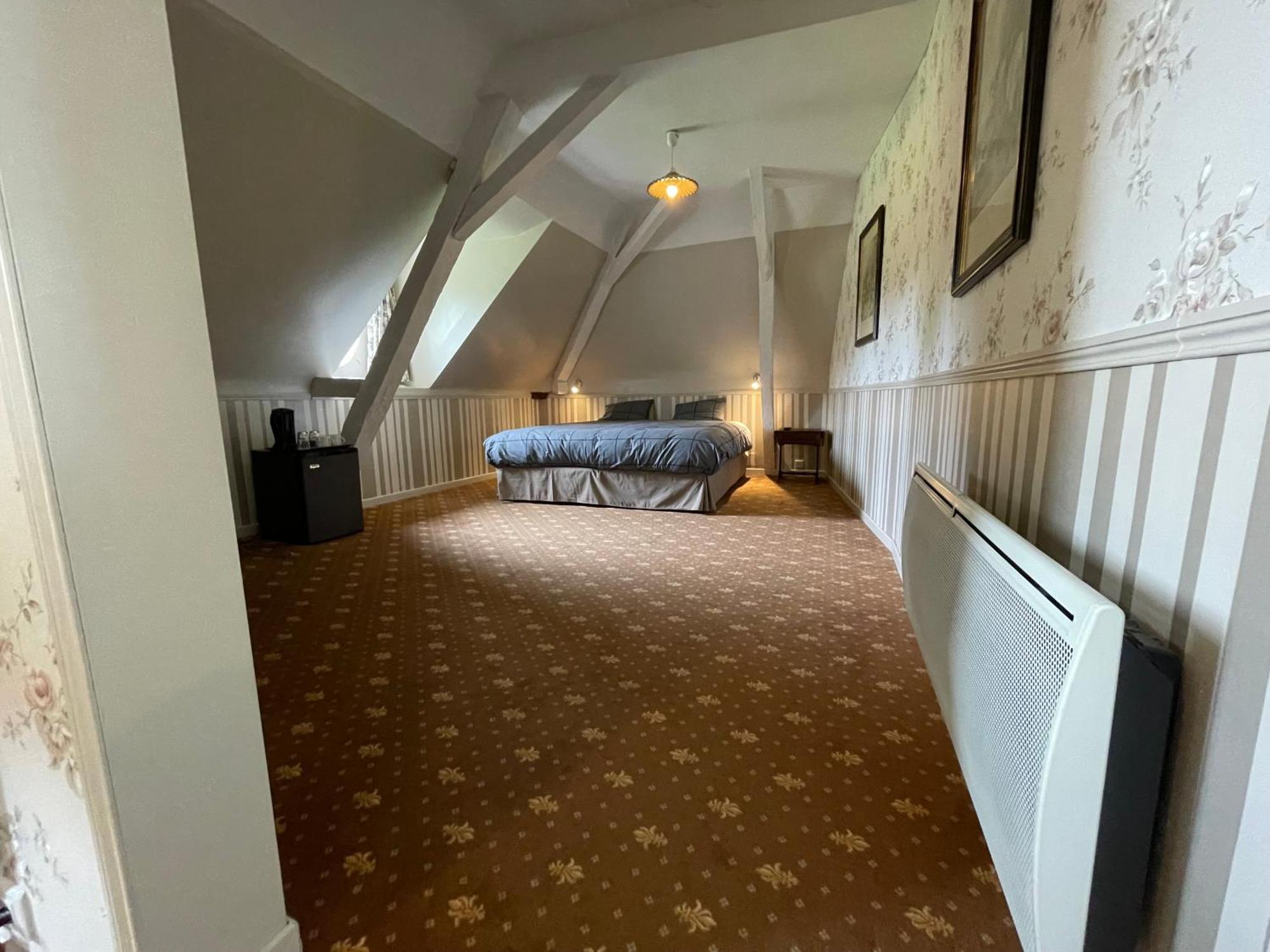 Chateau De La Coutanciere Brain-sur-Allonnes Eksteriør bilde
