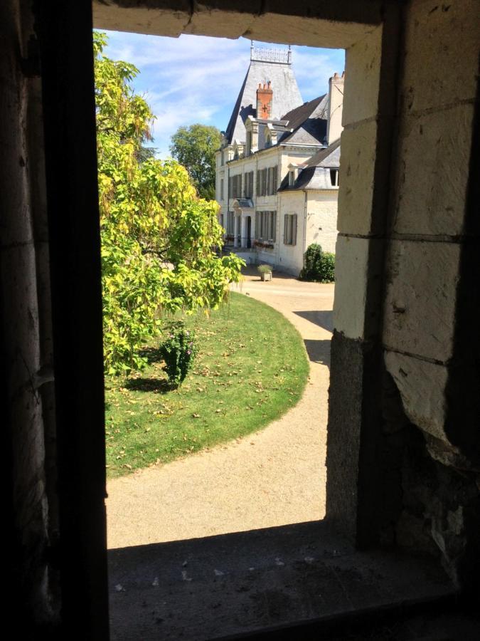 Chateau De La Coutanciere Brain-sur-Allonnes Eksteriør bilde